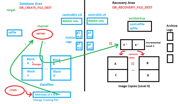 Recovery Area & Recommended Backup Strategy for Oracle Databases