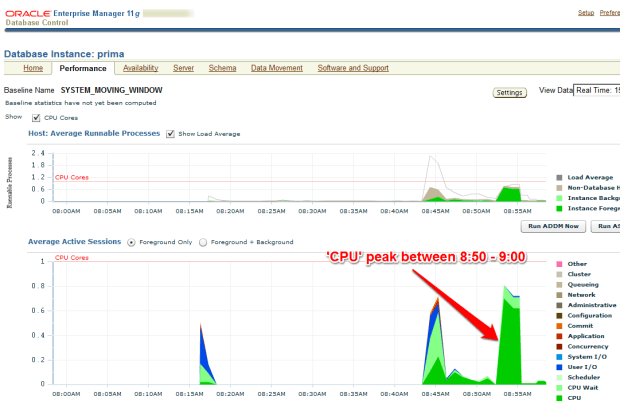 CPU peak on EM Performance page