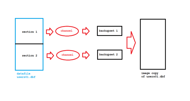Multisection Backup with Image Copy
