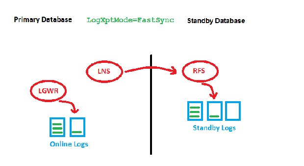 LogXptMode=FASTSYNC