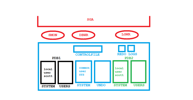 Common vs Local Users